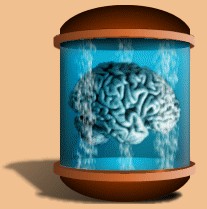 Brain Jar